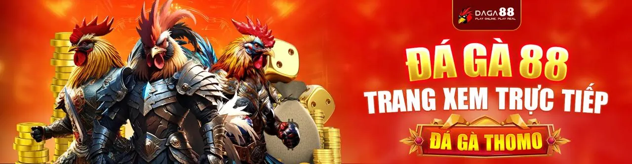 Hình ảnh đá gà trực tuyến sôi động tại 79win Trang Chủ Chính Thức